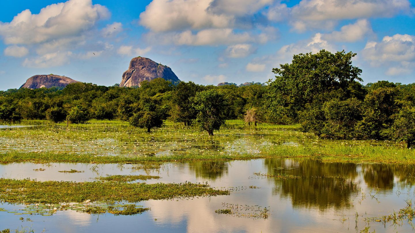 Yala National Park