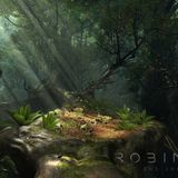 Robinson - The Journey