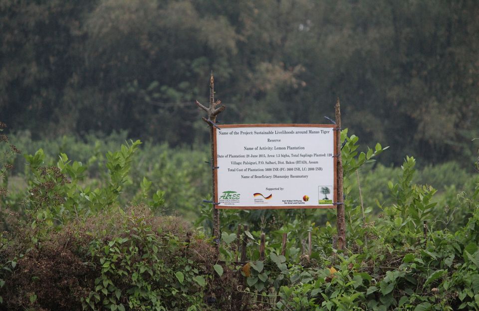 Ein Schild im Projketgebiet weist auf die Zusammenarbeit von KKS und GEO schützt den Regenwald e.V. hin