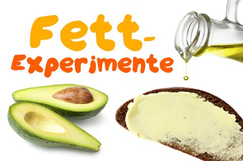 Experimente mit Fett