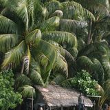 Carteret Atoll, Papua New Guinea