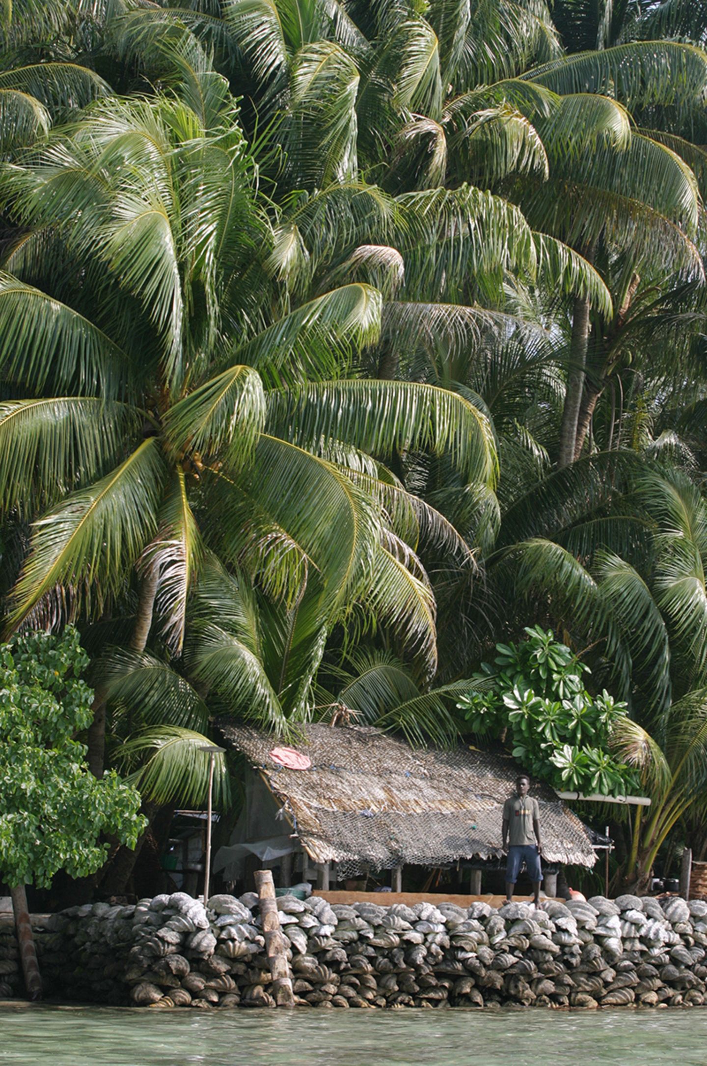 Carteret Atoll, Papua New Guinea