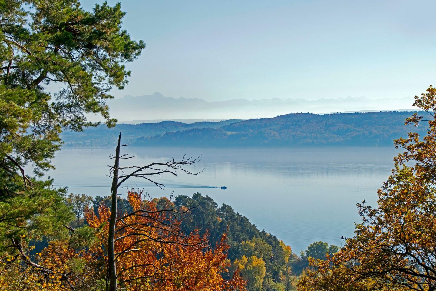 Blick vom Aussichtspunkt Haldenhof über den Bodensee