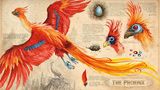 Phönix in Harry Potter und die Kammer des Schreckens