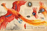 Phönix in Harry Potter und die Kammer des Schreckens