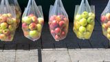 Äpfel in Plastiktüten