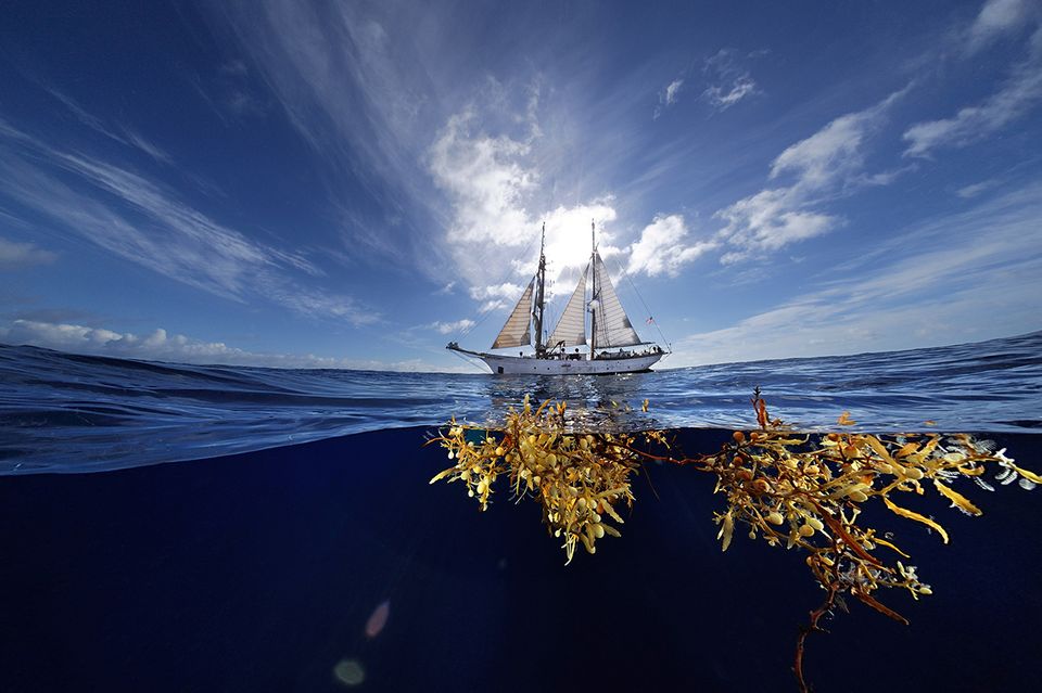 Forschungssegler Corwith Cramer Forschungssegler Corwith Cramer