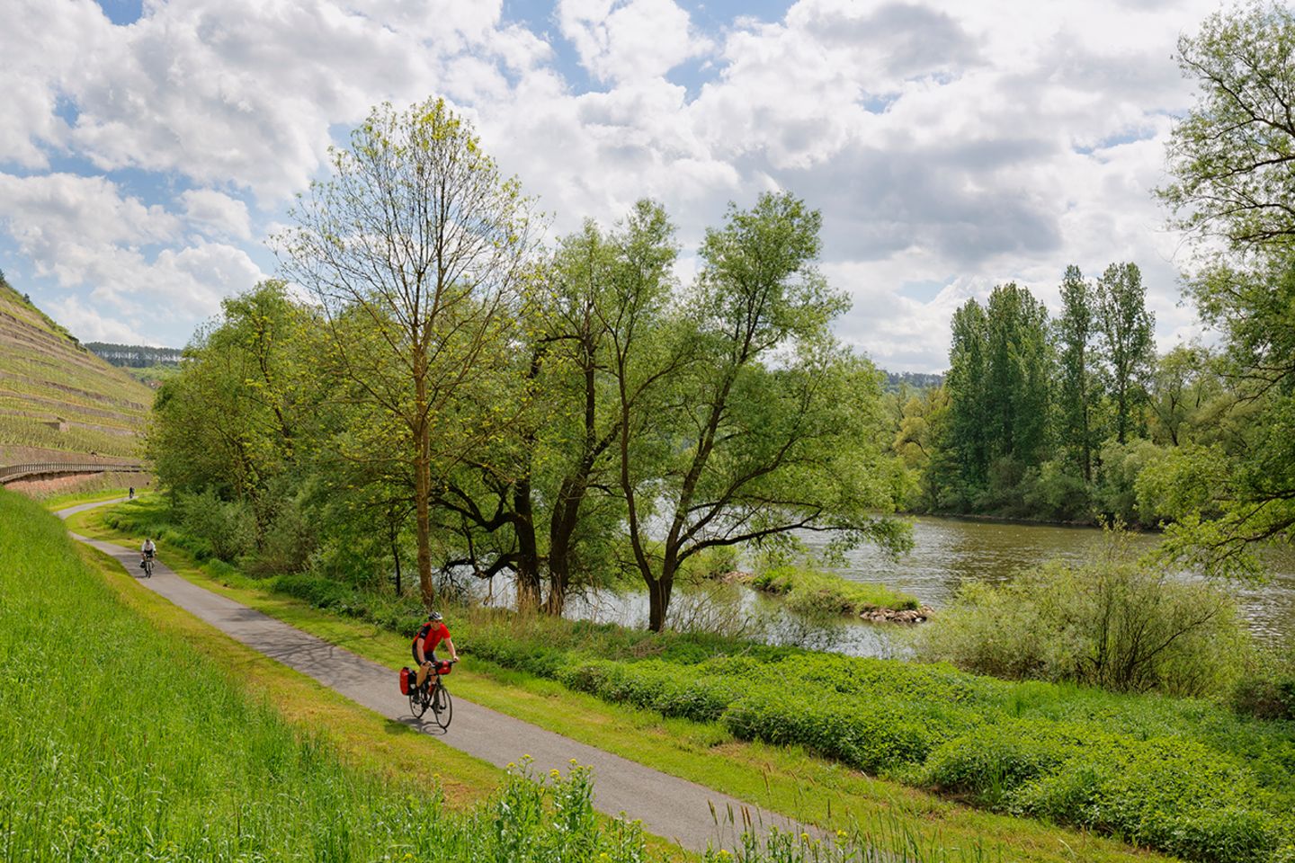 Radweg am Main, bei Homburg,