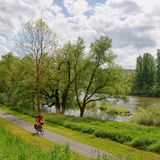 Radweg am Main, bei Homburg,