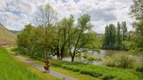 Radweg am Main, bei Homburg,