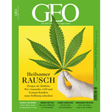 GEO 06/2017