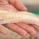 Fischfilet in der Hand