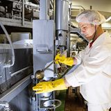 Fischstäbchen in Rapsöl