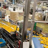 Fischstäbchen auf Vibrationsblech