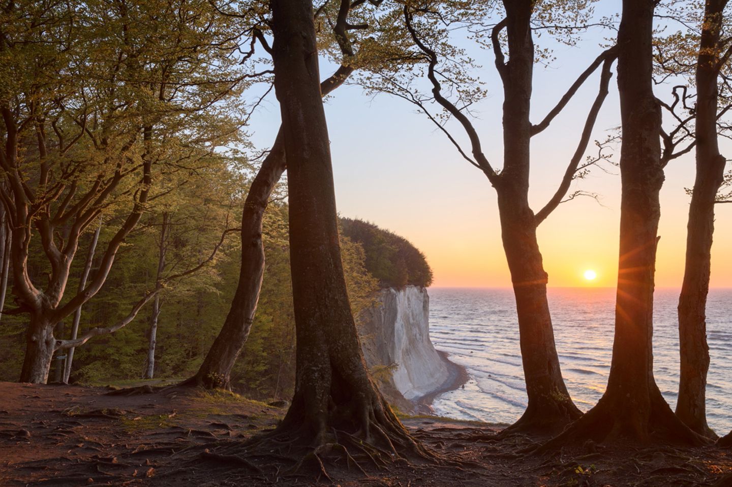 Rügen