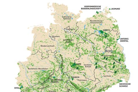 Wälder in Deutschland