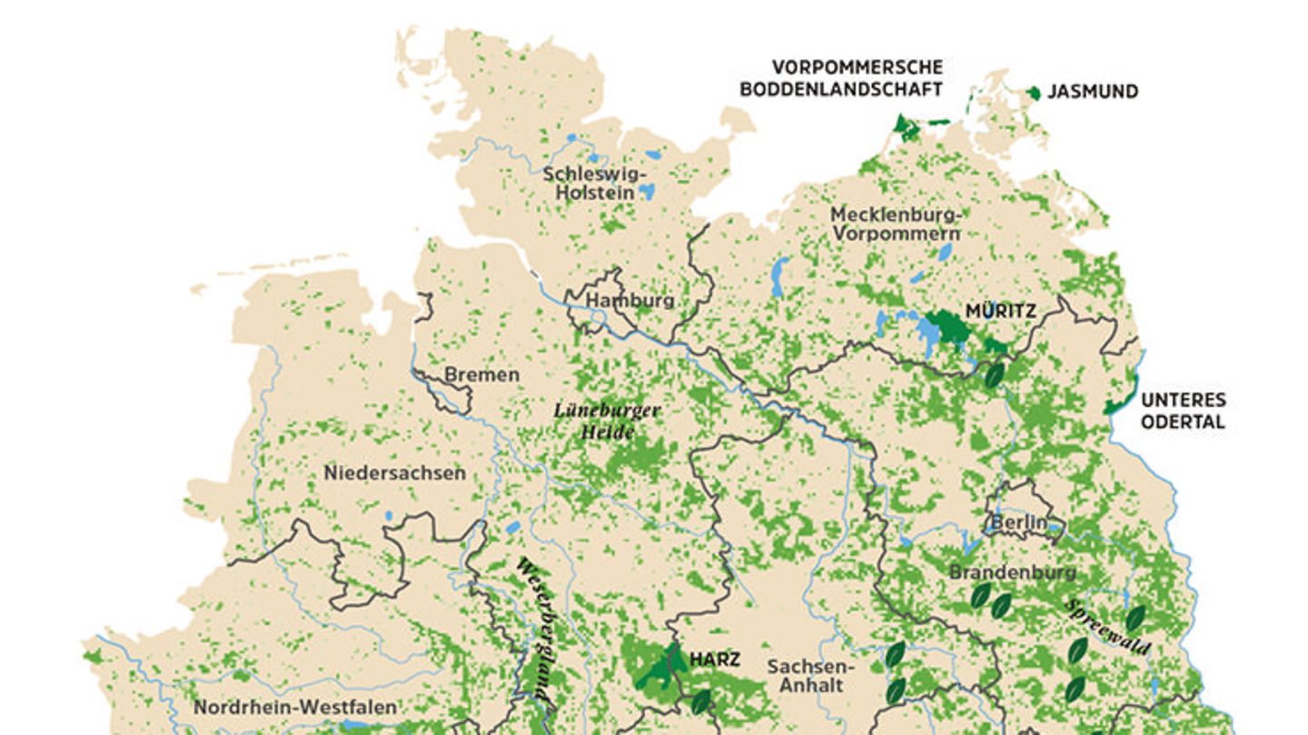 Wo es in Deutschland noch richtige Wildnis gibt - [GEO]