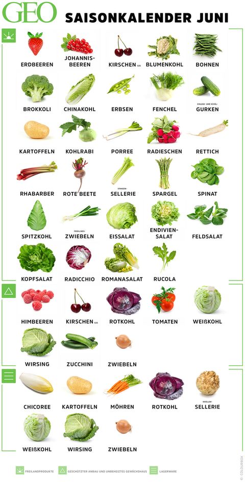 Saisonkalender Juni Regionales Obst und Gemüse [GEO]