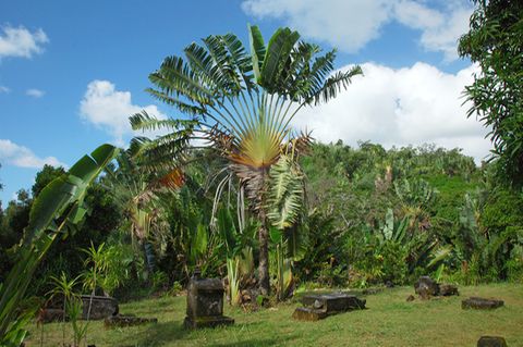 Ile Sainte-Marie, Madagascar