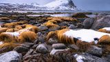Haukland Beach, Lofoten