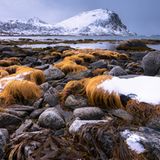 Haukland Beach, Lofoten