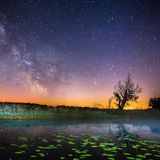 Milchstrasse, Frankfurt