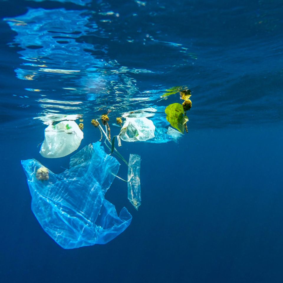 Plastik Müll Meer Ozean