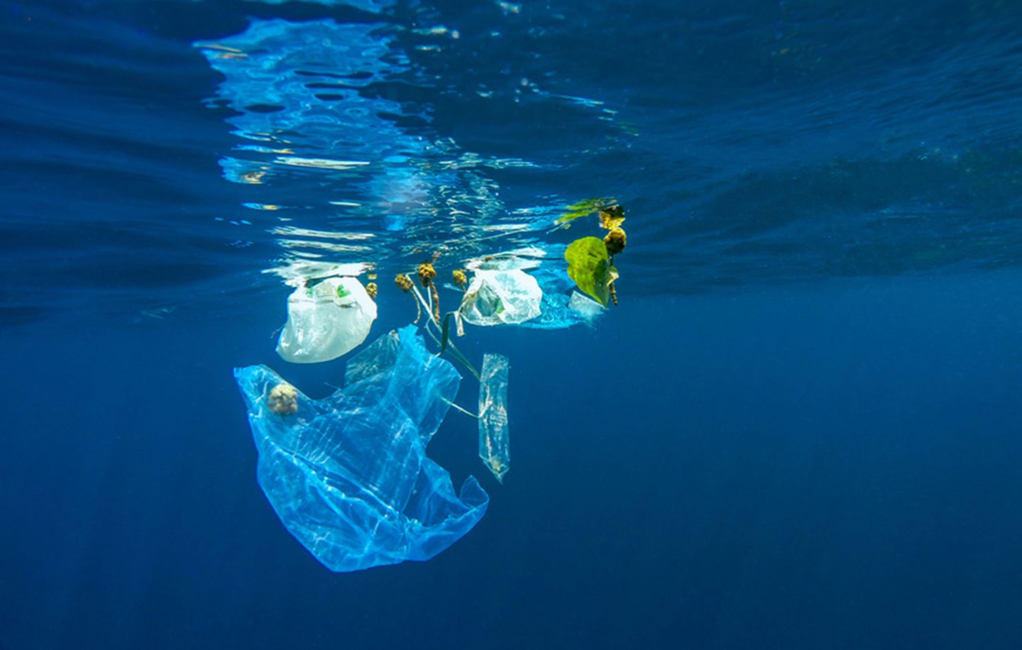 Plastik Müll Meer Ozean