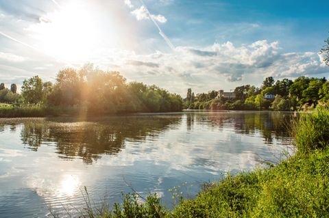 Fluss Wasser Gewässer Umwelschutz