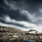 backstageparadise, windsurfer