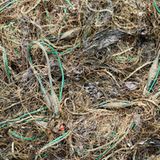 Menschen, Tiere, Tote Zonen