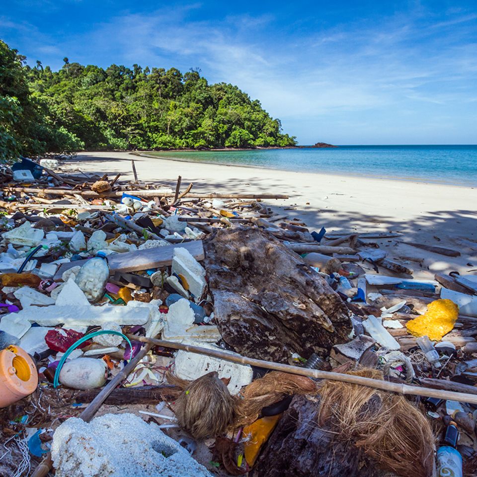 Plastikmüll liegt massenweise am Strand