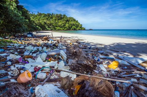 Plastikmüll liegt massenweise am Strand