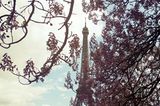 Paris im Frühling