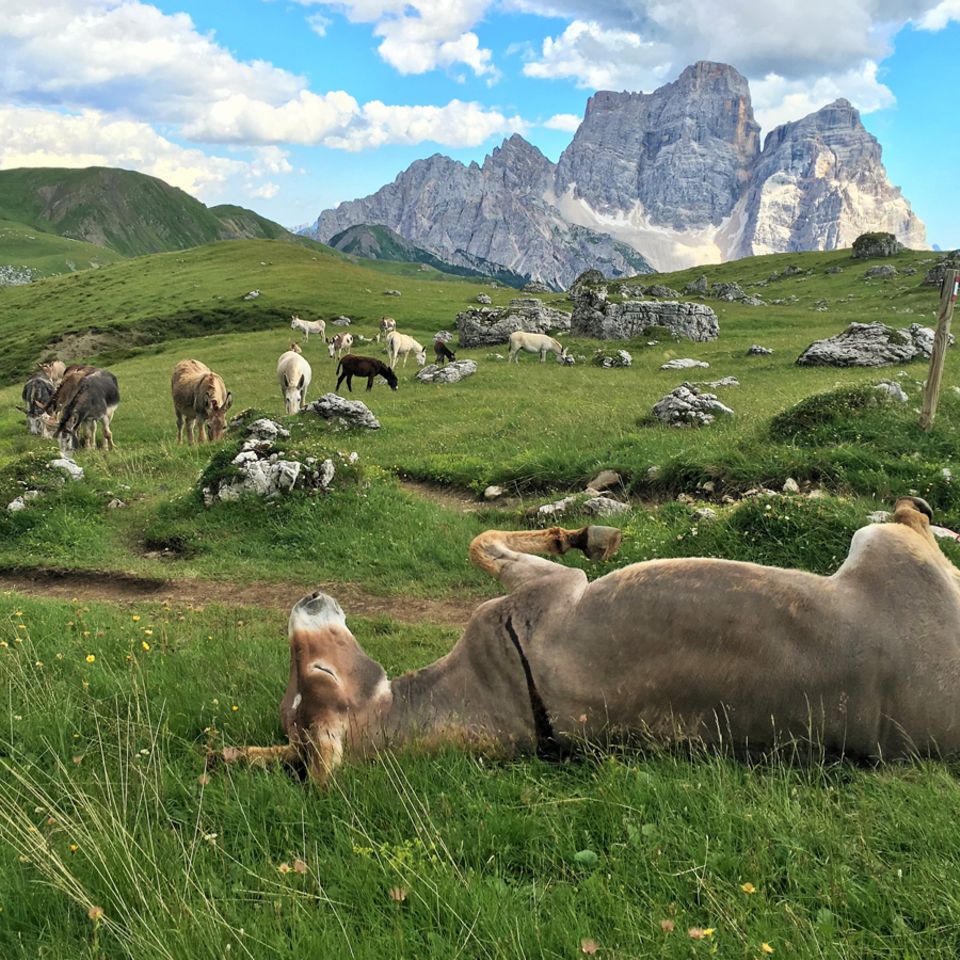 Dolomiten
