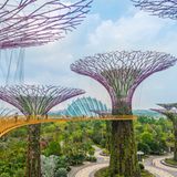 Singapur, Supertrees und Gardens by the Bay