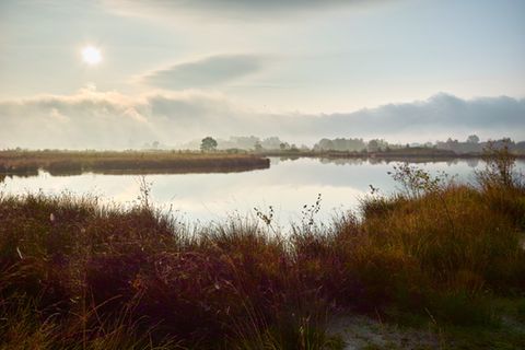 Großes Torfmoor, Hillermoor