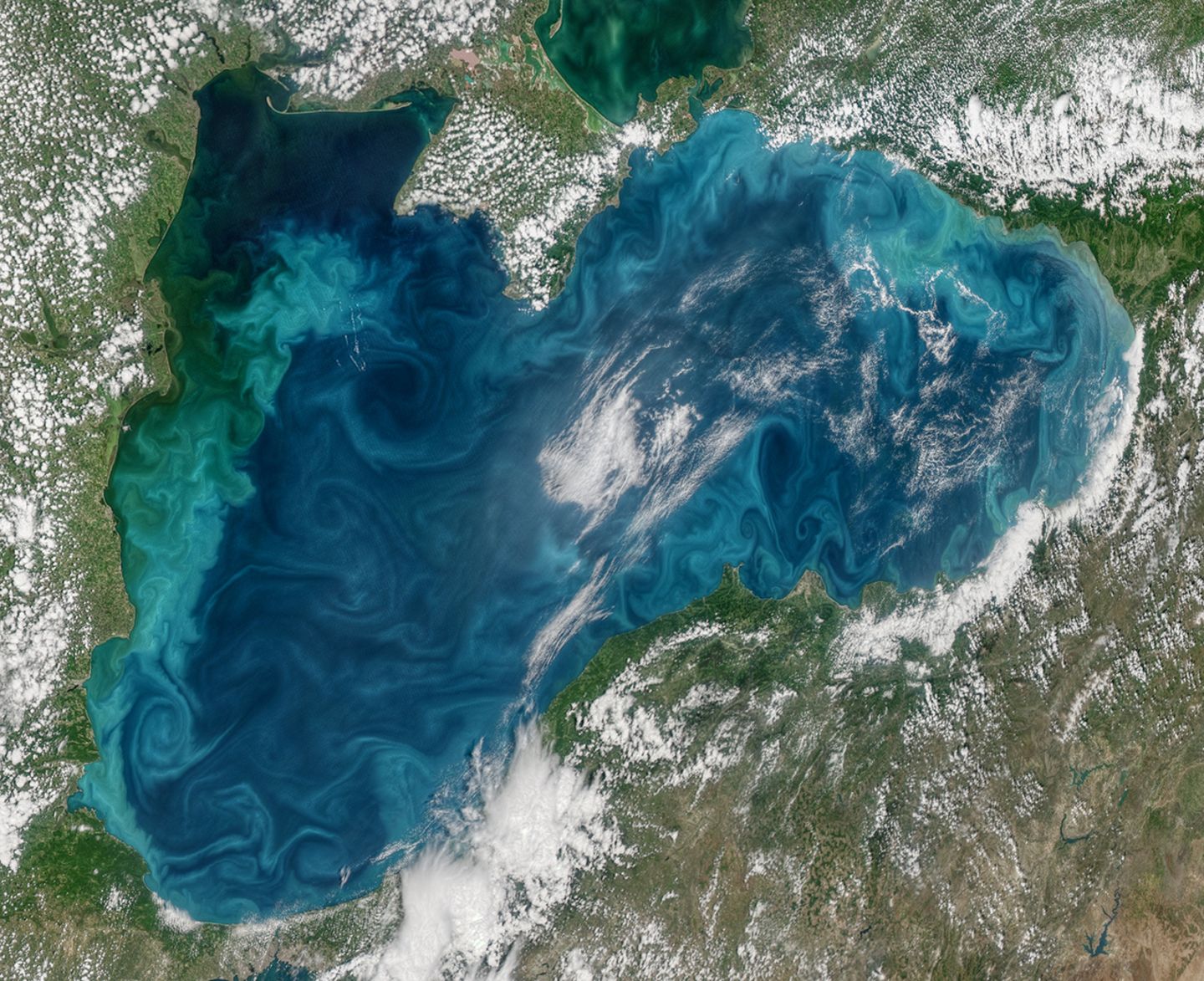 Algenblüte im Schwarzen Meer