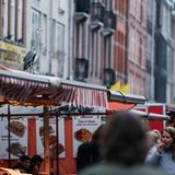 Graureiher, Amsterdam, Niederlande