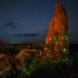Emas National Park, Brazil