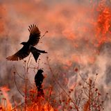Singur, West Bengal, India