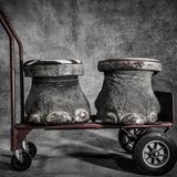 National Wildlife Property Repository, Colorado, USA