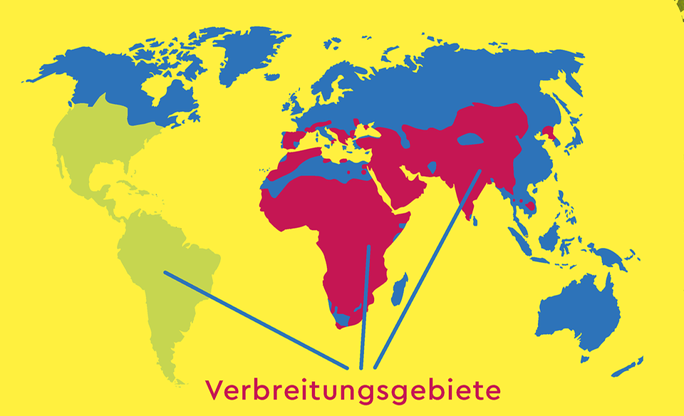 Verbreitungsgebiet der Geier weltweit Verbreitungsgebiet der Geier weltweit