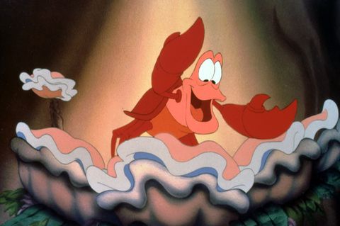 Disney Tiere Quiz