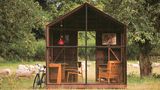 Sir Paul Smiths Hütte, Tiny Houses