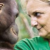 Signe Preuschoft und ein Affe sehen sich tief in die Augen