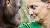 Signe Preuschoft und ein Affe sehen sich tief in die Augen