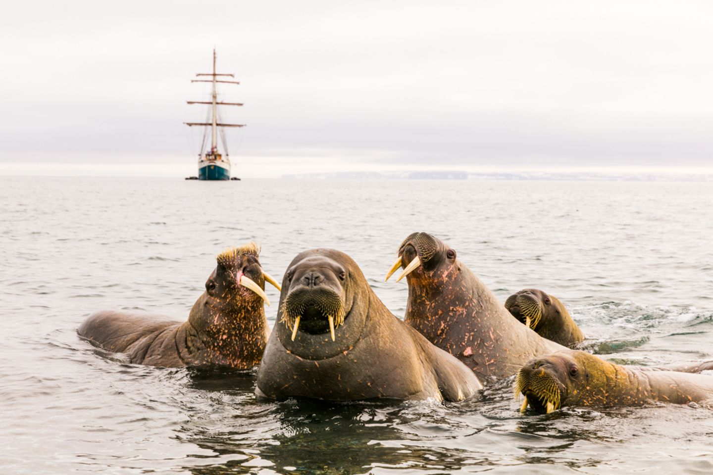 Spitzbergen