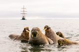 Spitzbergen