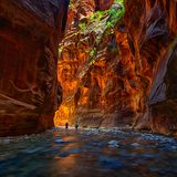 Zion Narrows, USA
